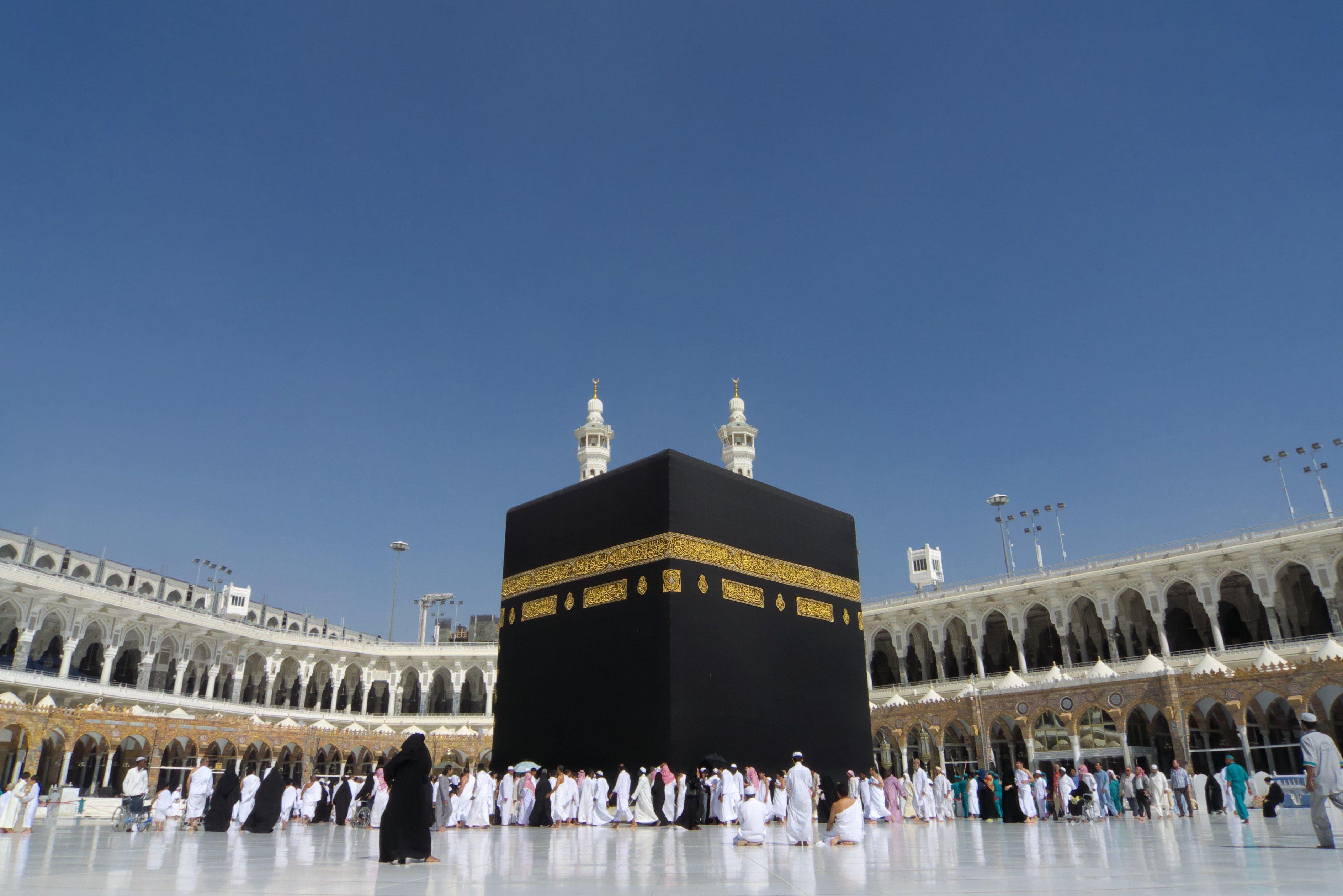 Hajj Management Software preview